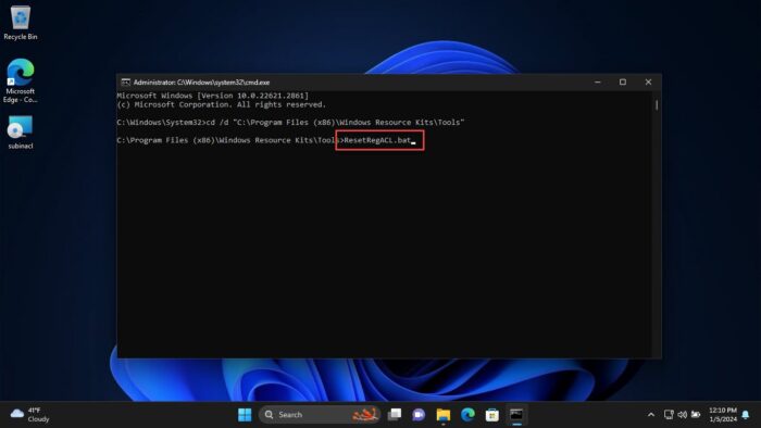 Execute the batch file